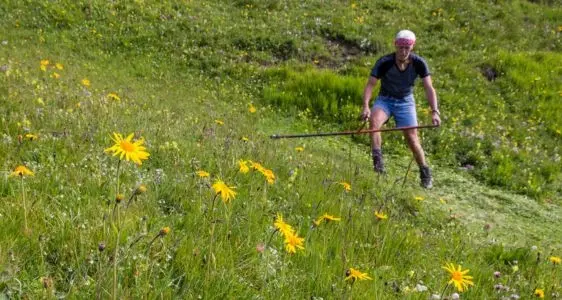 Genehmigungen & Beiträge