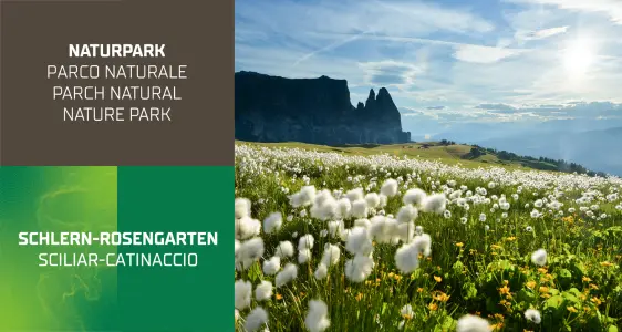 1/7 Naturpark Schlern-Rosengarten