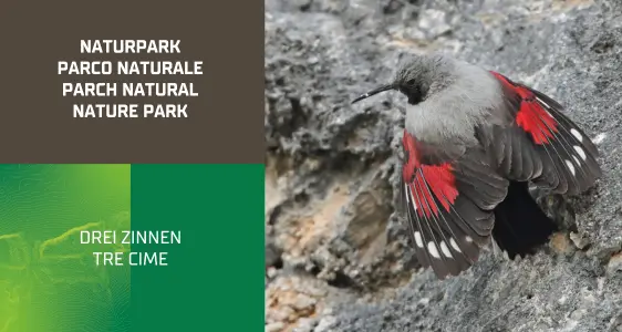 6/7 Naturpark Drei Zinnen