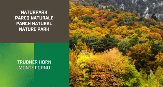 5/7 Naturpark Trudner Horn
