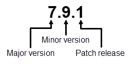 Image describing how to read version formats for SonarQube