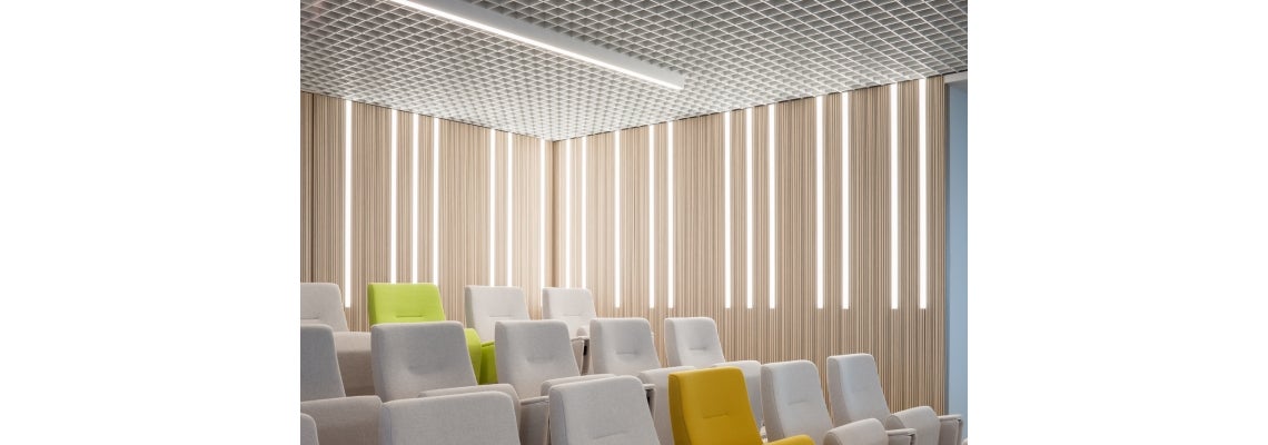 picture alternative text