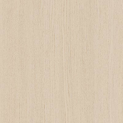 picture alternative text