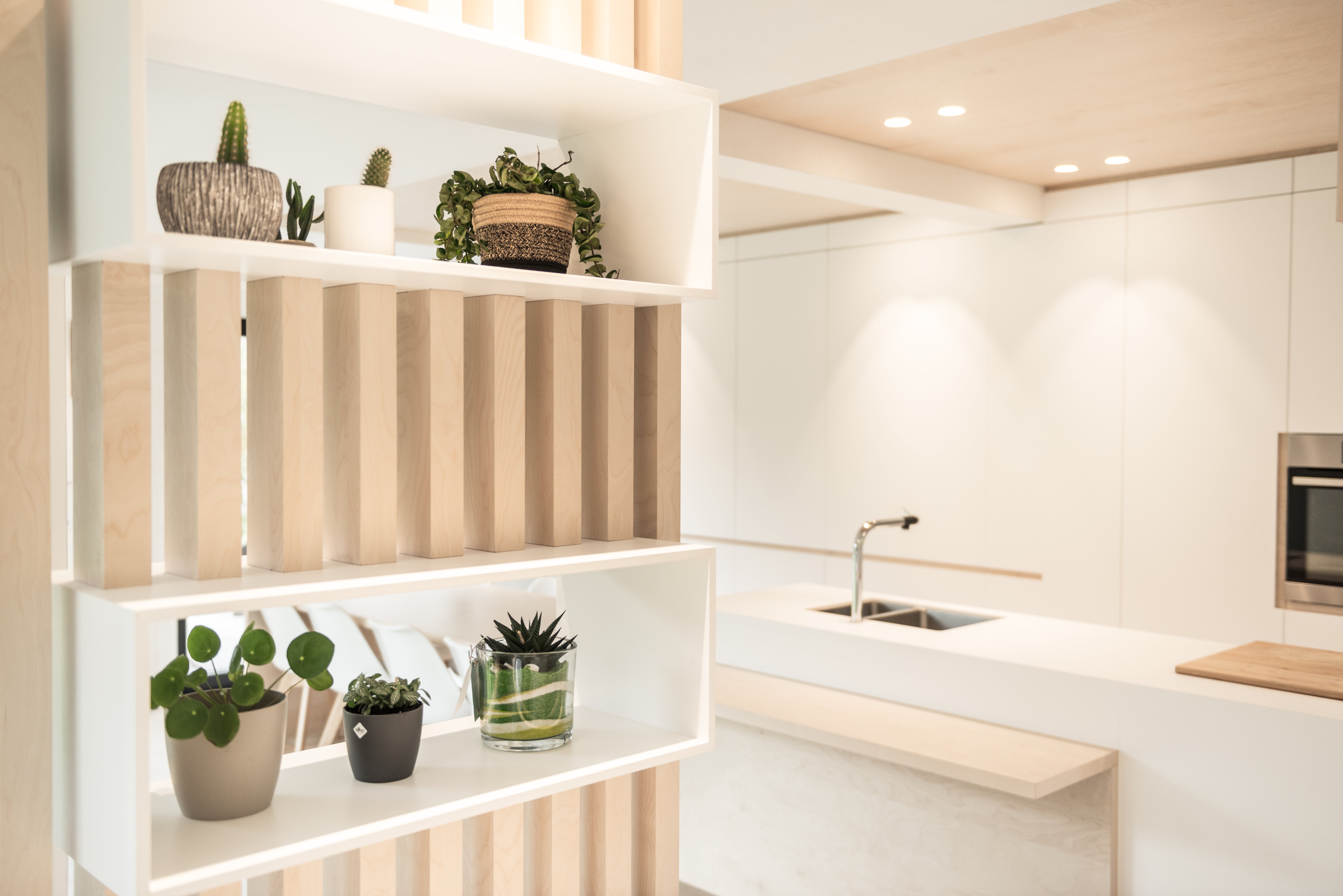 picture alternative text