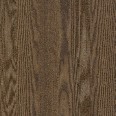 picture alternative text