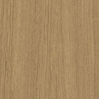 picture alternative text