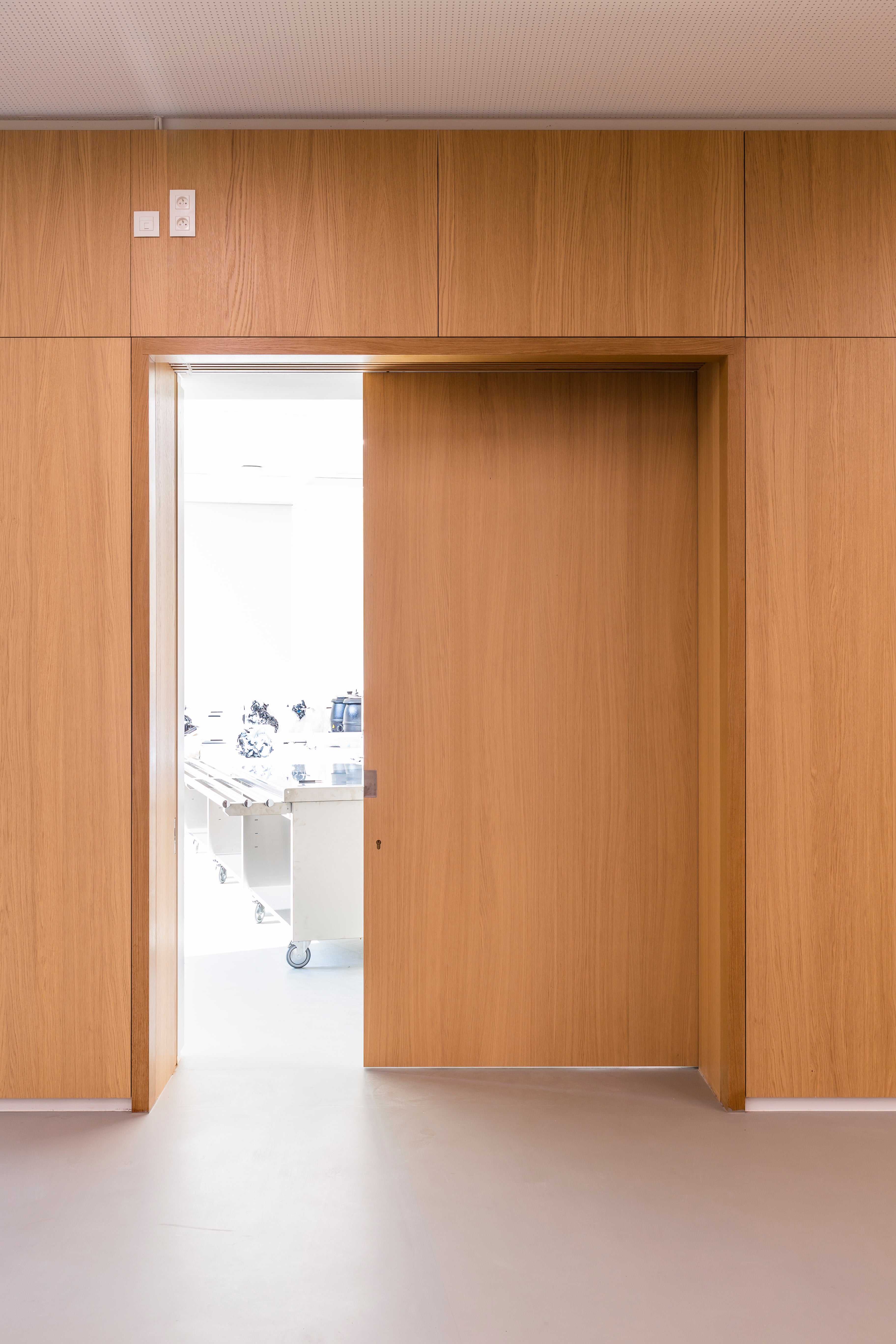 Veneer - oak - oak door - veneer door - Shinnoki
