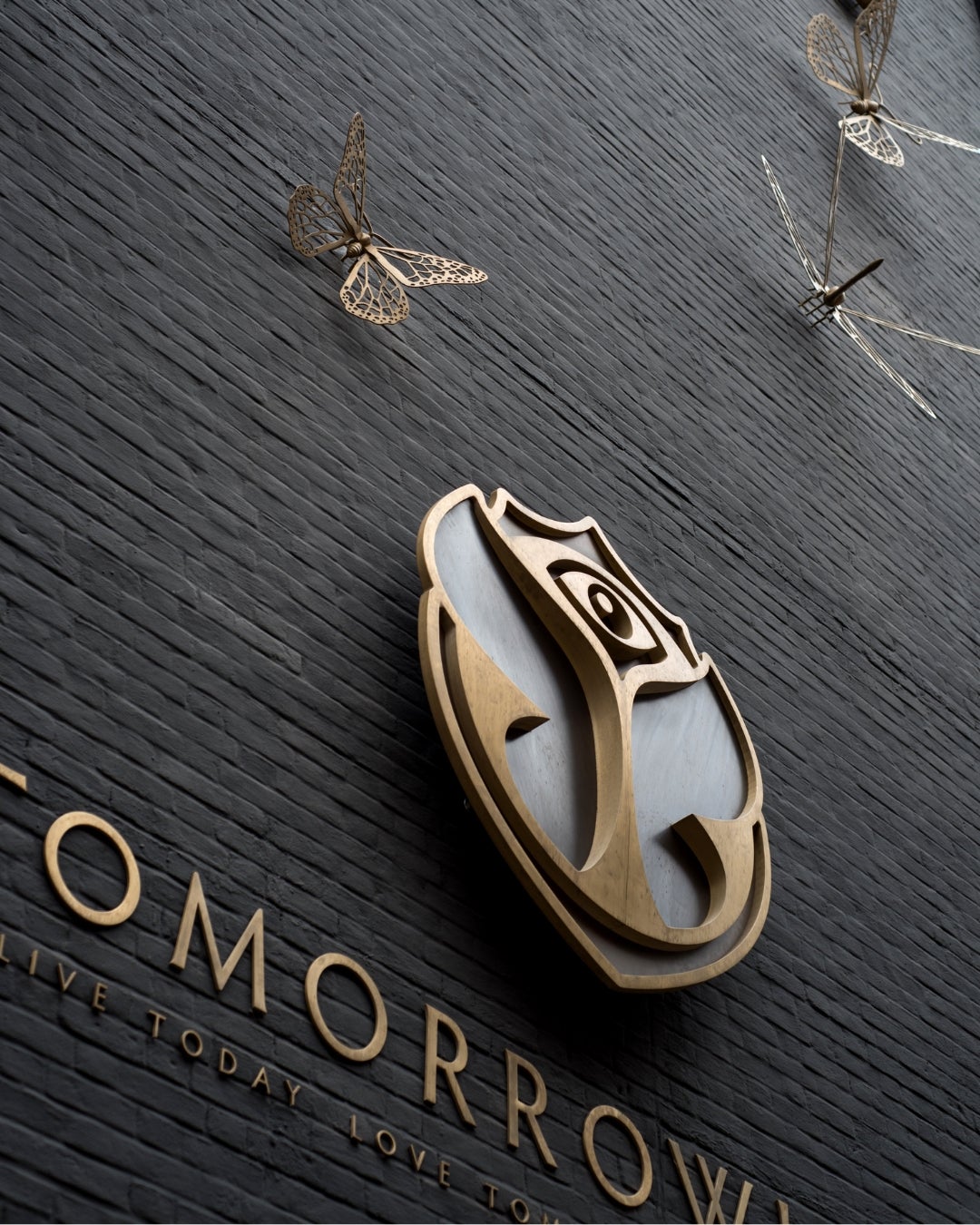 picture alternative text