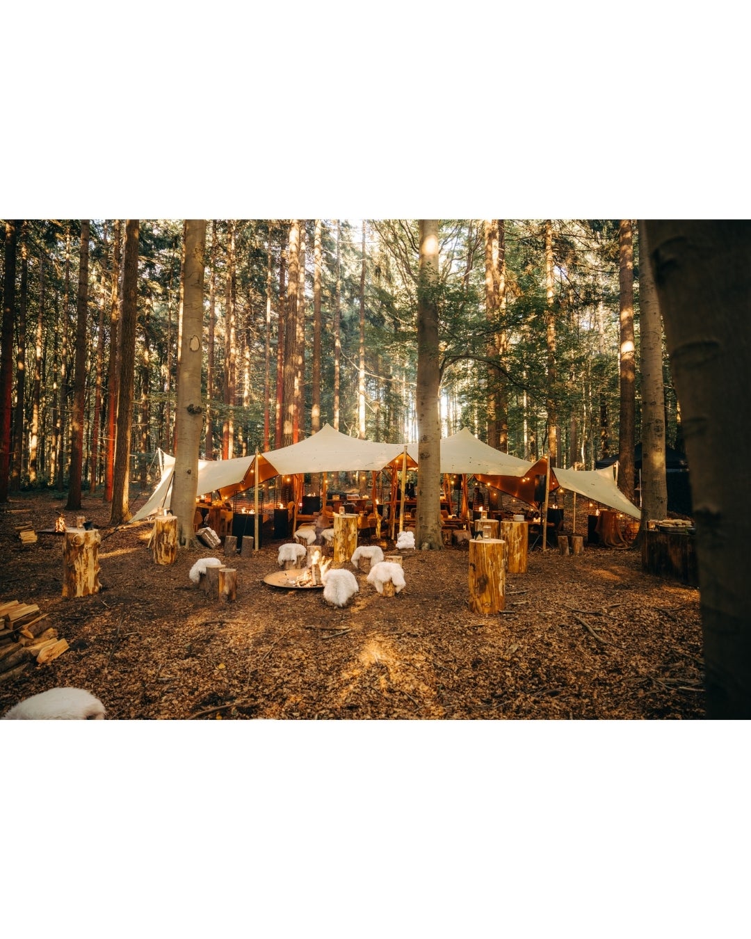 picture alternative text