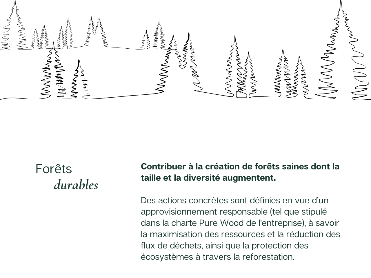 picture alternative text