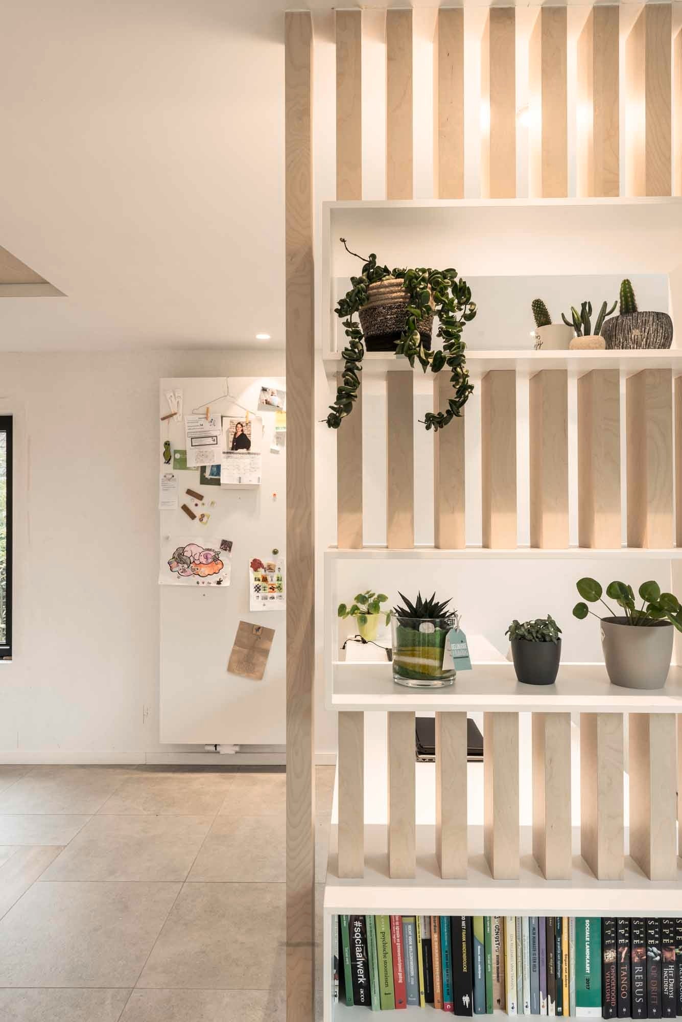 Nordus - Snow birch - Snow Birch veneer  - fresh modern look