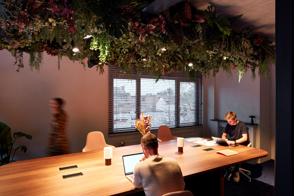 picture alternative text