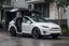 Avis Tesla Model X