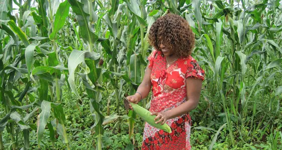 Internationale Zusammenarbeit und Minderheitenschutz