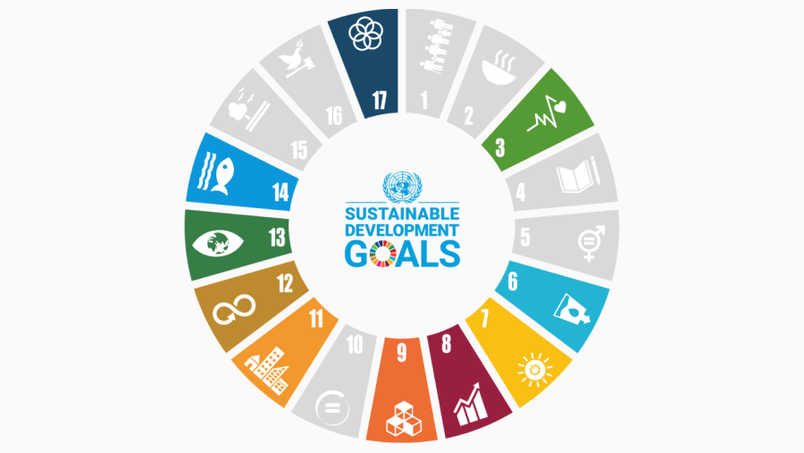 a graphic showing a wheel of sustainable development goals