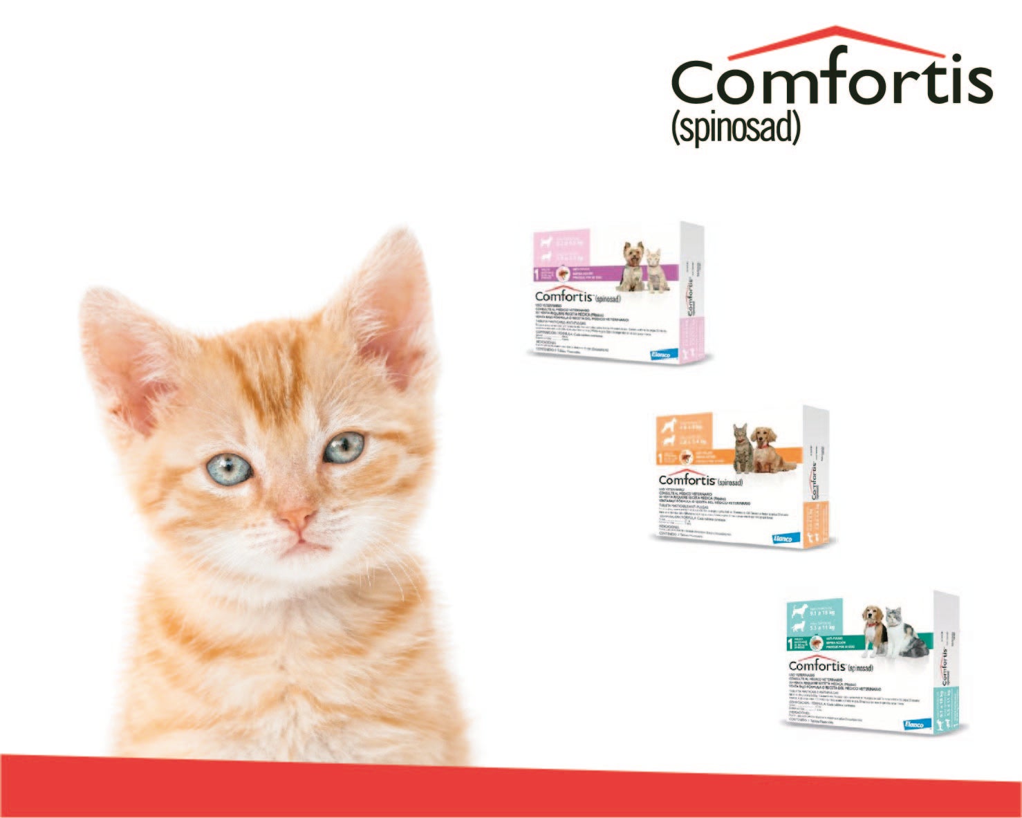 comfortis gatos