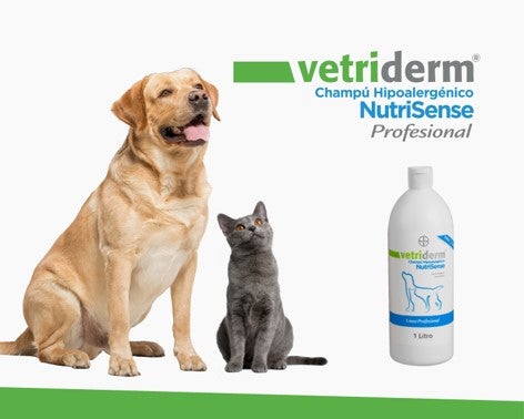 Champu hipoalergenico Vetriderm para perros y gatos