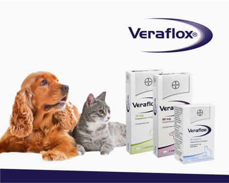 Veraflox antibiotico para perros y gatos 