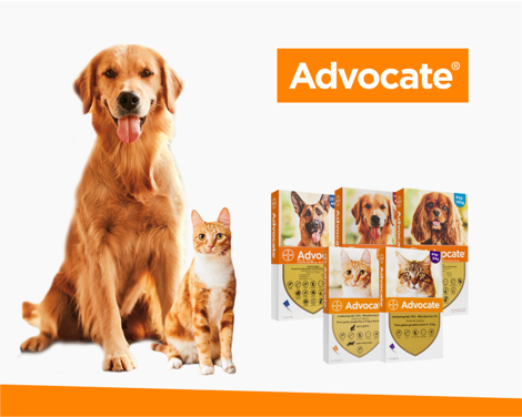 Pipeta Advocate antipulgas y contra gusanos para perros y gatos