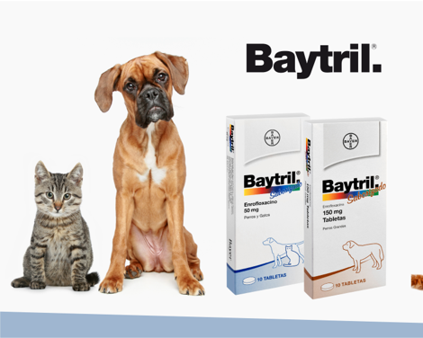 Baytril antibiótico para perros y gatos