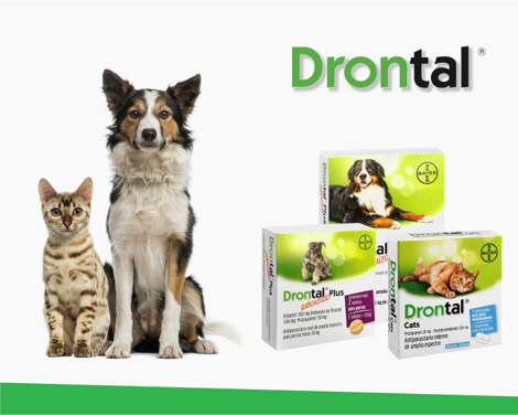 Drontal antiparasitario interno para perros y gatos
