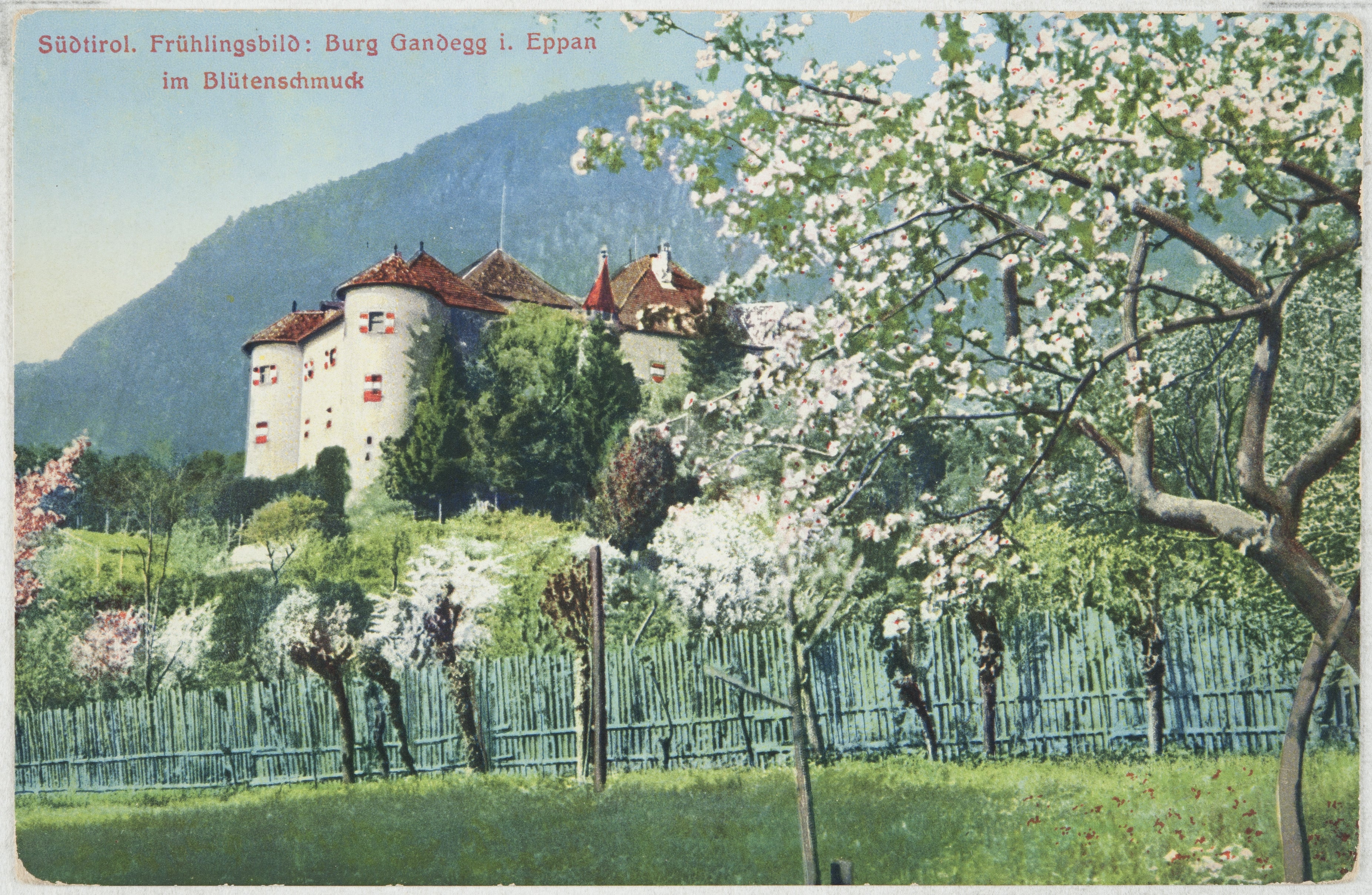 Sammlung Guido Fontanesi, Nr. 530