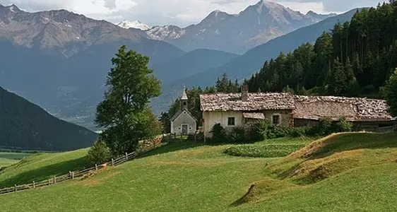 Unterschutzstellungen 2020