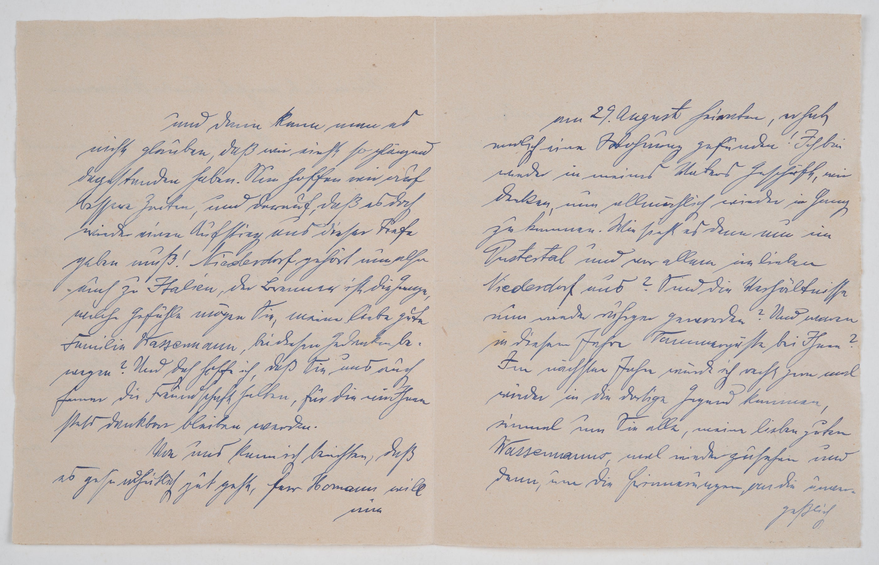 Familienarchiv und Sammlung Wassermann, Nr. 95_2