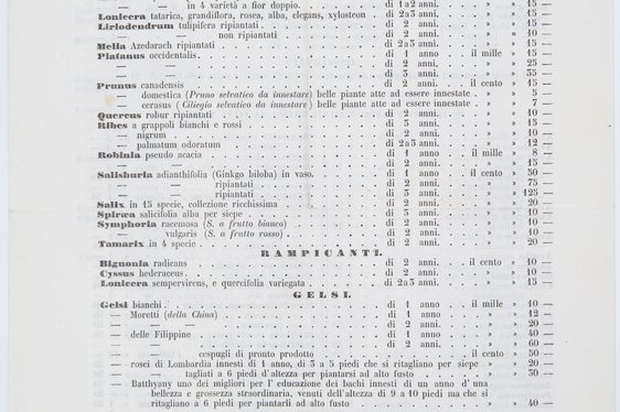 Archivio Wolkenstein-Trostburg, fondo Trostburg, n. 547_3