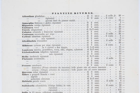 Archivio Wolkenstein-Trostburg, fondo Trostburg, n. 547_3