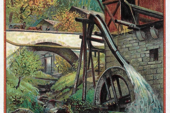 Raccolta Helene Oberleiter, n. 335_1