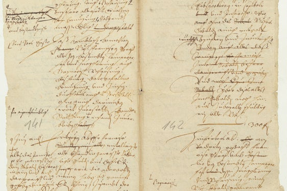 Akten der Landeshautpmannschaftlichen Gerichts/Adeligen Hofrechts Bozen, Nr. 314