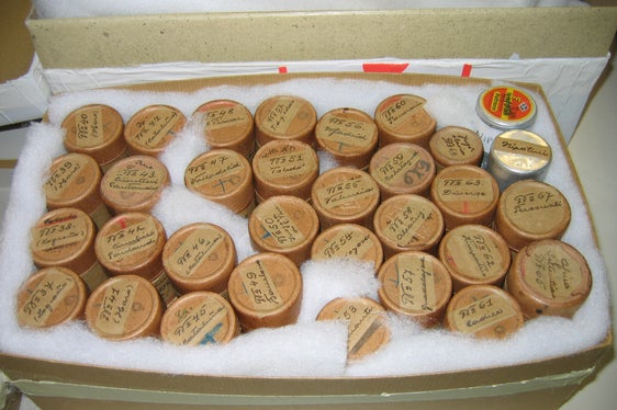 I contenitori originali dei negativi