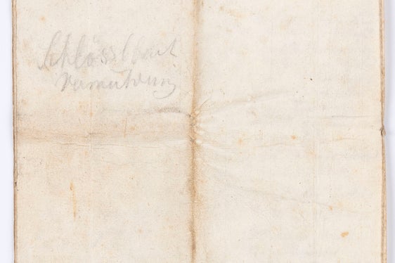 Archivio comunale di Villa Ottone, n. 19_11