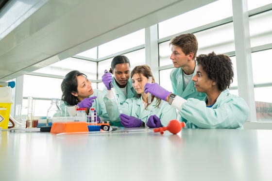 Docent en studenten van Biomedische wetenschappen volgen onderwijs in het laboratorium