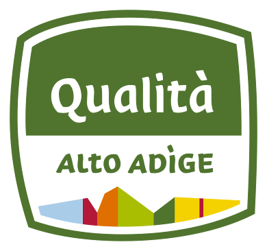 alt text logo