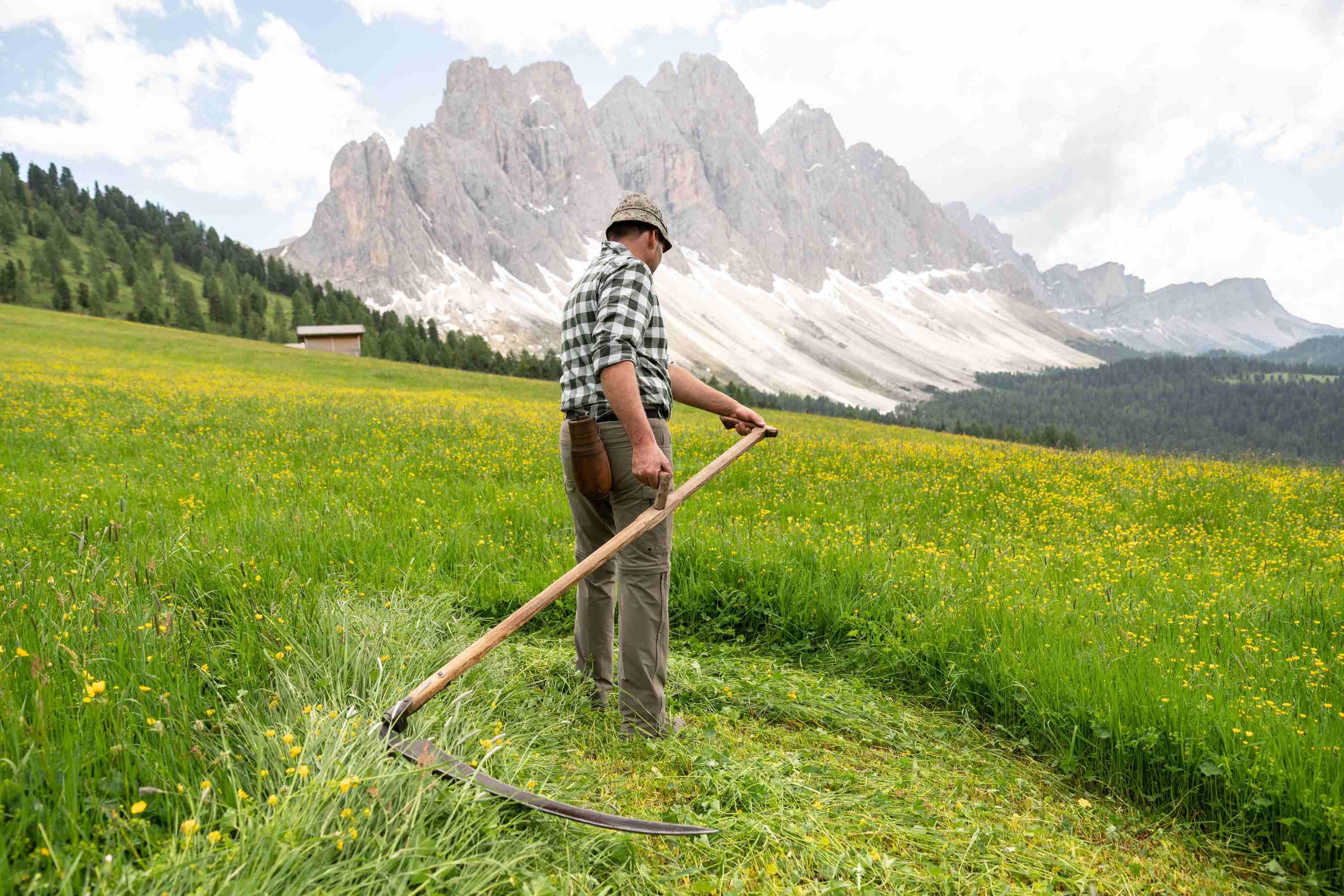 Ein Bauer mäht mit der Sense eine blühende Bergwiese am Fuße imposanter Dolomiten.