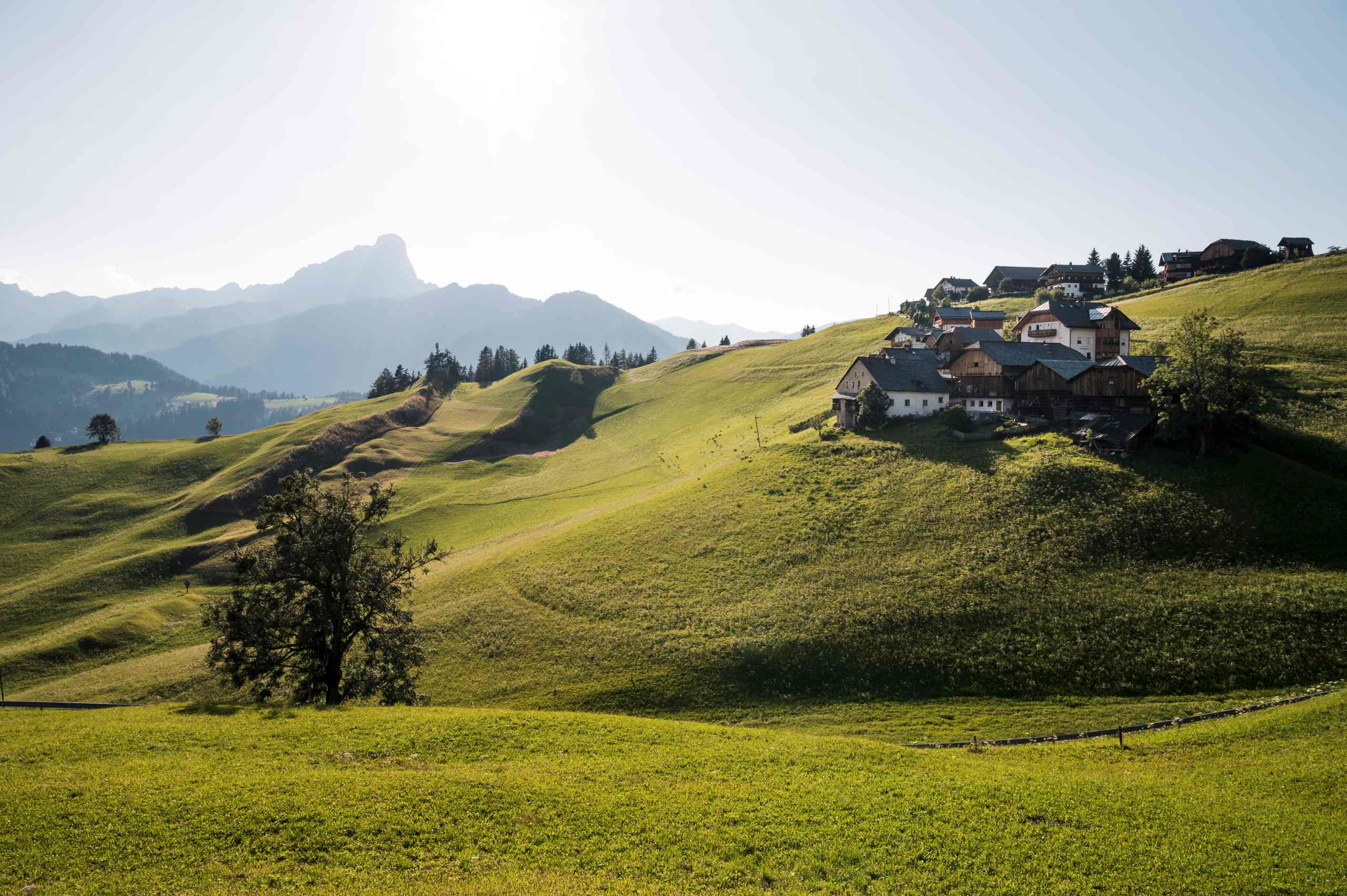 Südtiroler Bauernhöfe auf sonnigem Hügel mit grünen Wiesen und Bergen im Hintergrund.