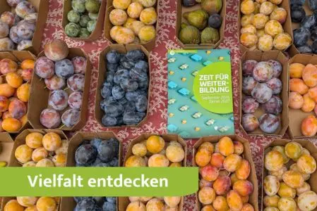 Die neue Zeit für Weiterbildung-Broschüre lädt dazu ein, die Vielfalt der Weiterbildungslandschaft in Südtirol zu entdecken. Die Druckausgabe liegt in zahlreichen Weiterbildungseinrichtungen, Bibliotheken und Landesämtern auf. (Foto: LPA/Amt für Weiterbildung und Sprachen)