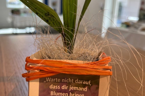 Nachhaltigkeit in der Hotellerie Nachhaltigkeit in der Hotellerie