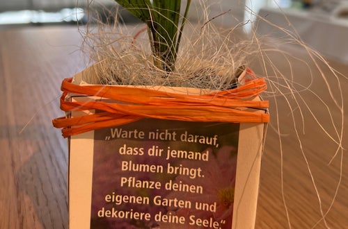 Nachhaltigkeit in der Hotellerie Nachhaltigkeit in der Hotellerie