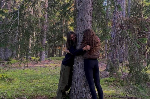 Projekt Waldbaden, 2. Hofa A Projekt Waldbaden, 2. Hofa A