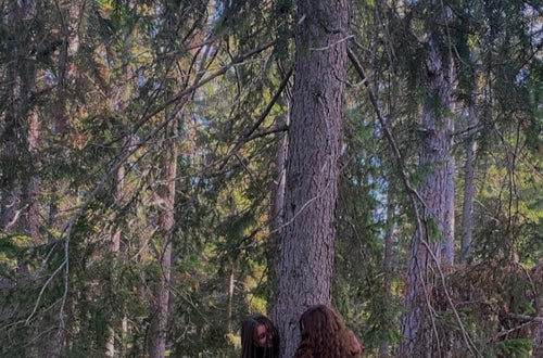 Projekt Waldbaden, 2. Hofa A Projekt Waldbaden, 2. Hofa A