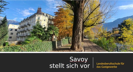 LBS Savoy Meran LBS Savoy Meran