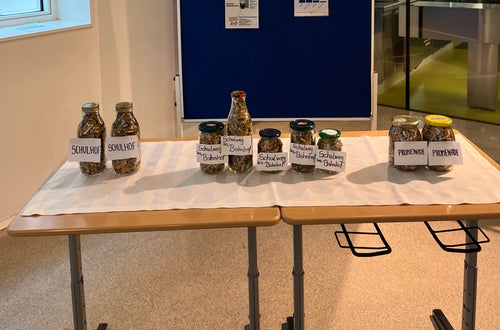 Zigarettenstummel-Projekt Zigarettenstummel-Projekt