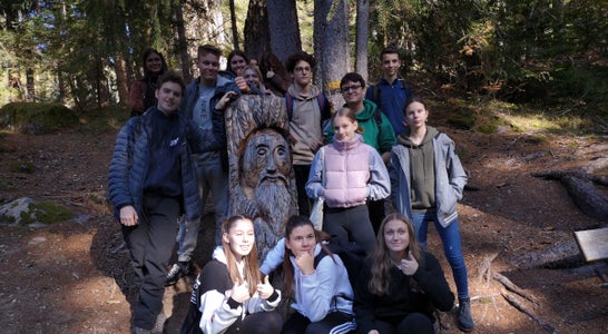 Projekt Waldbaden, 2. Hofa A Projekt Waldbaden, 2. Hofa A