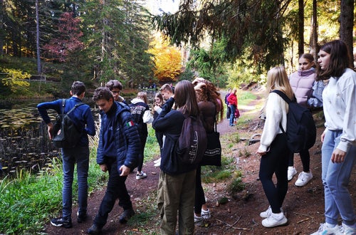 Projekt Waldbaden, 2. Hofa A Projekt Waldbaden, 2. Hofa A