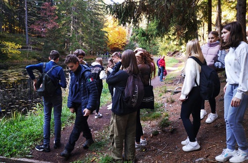 Projekt Waldbaden, 2. Hofa A Projekt Waldbaden, 2. Hofa A
