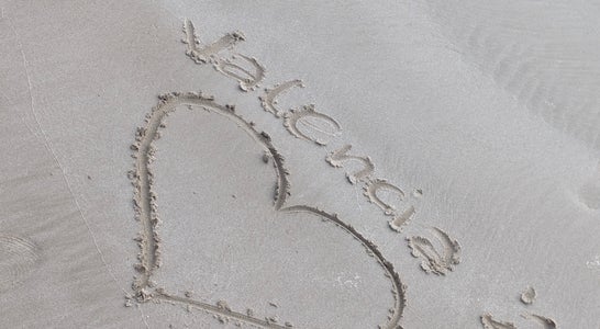 Erasmus Treff Valencia 2026 Erasmus Treff Valencia 2026