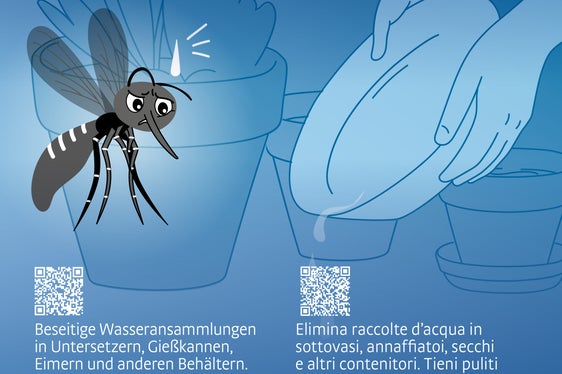 Mückenlarven im Garten? Nein, danke!